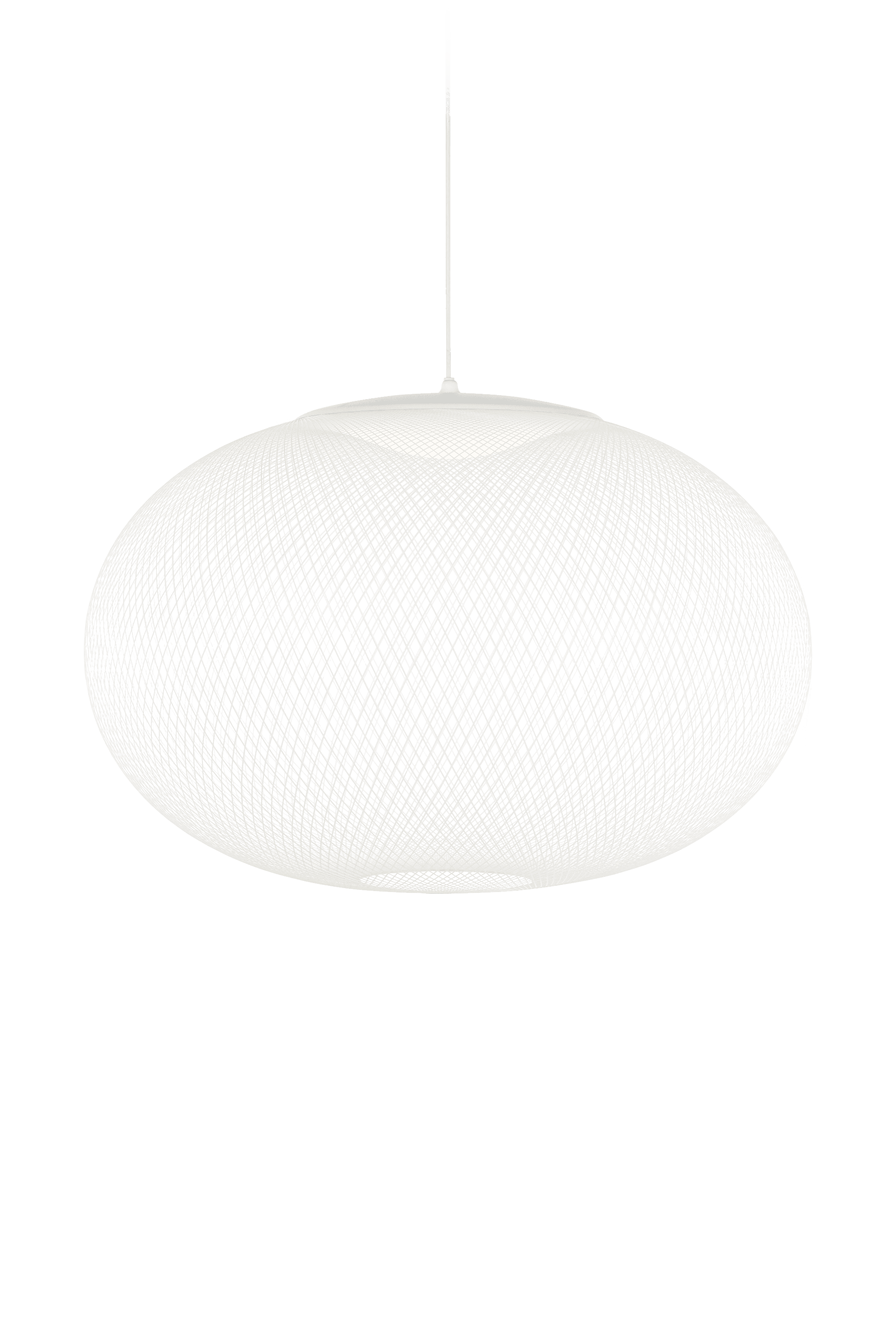 NR2 suspension light large white