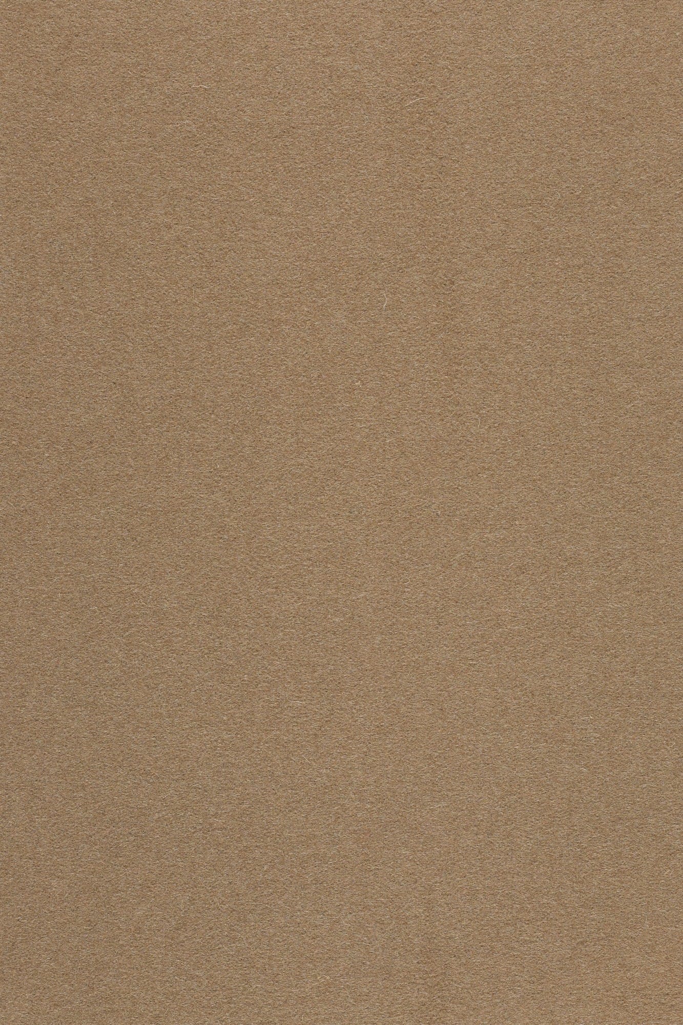 Fabric sample Divina 3 334 brown