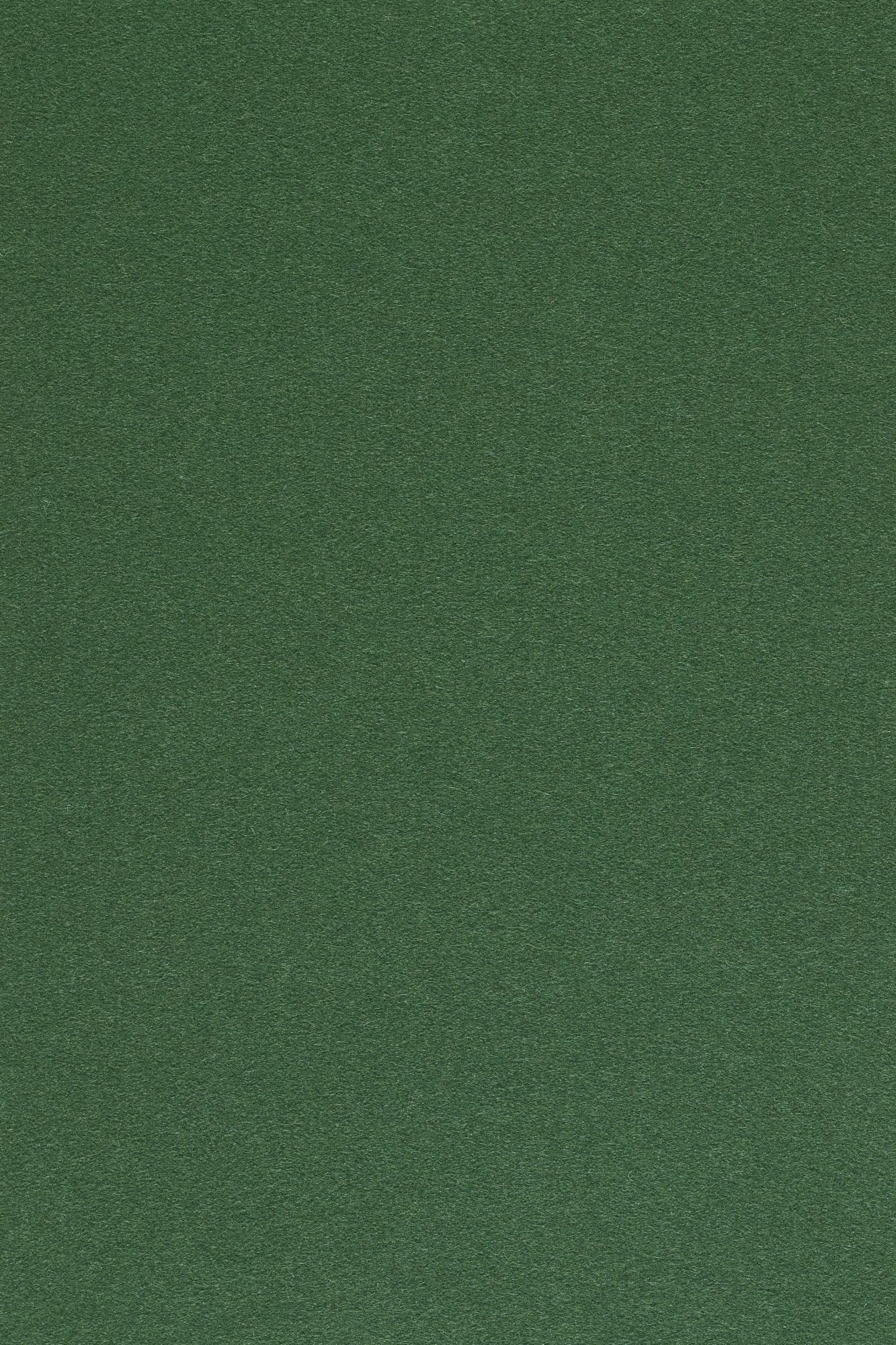 Fabric sample Divina 3 876 green