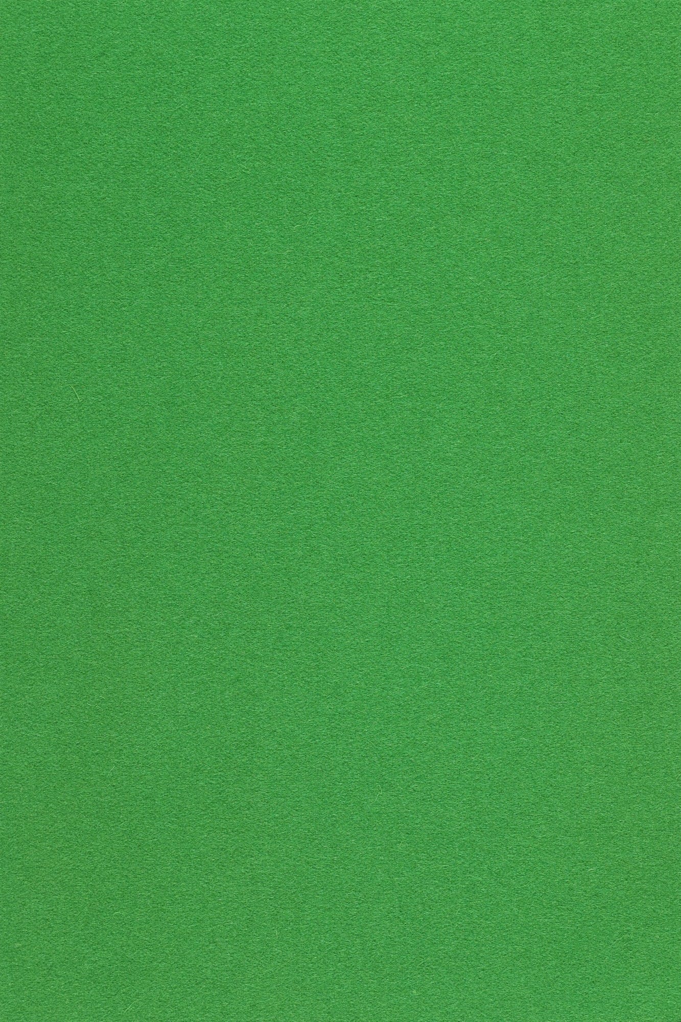 Fabric sample Divina 3 922 green