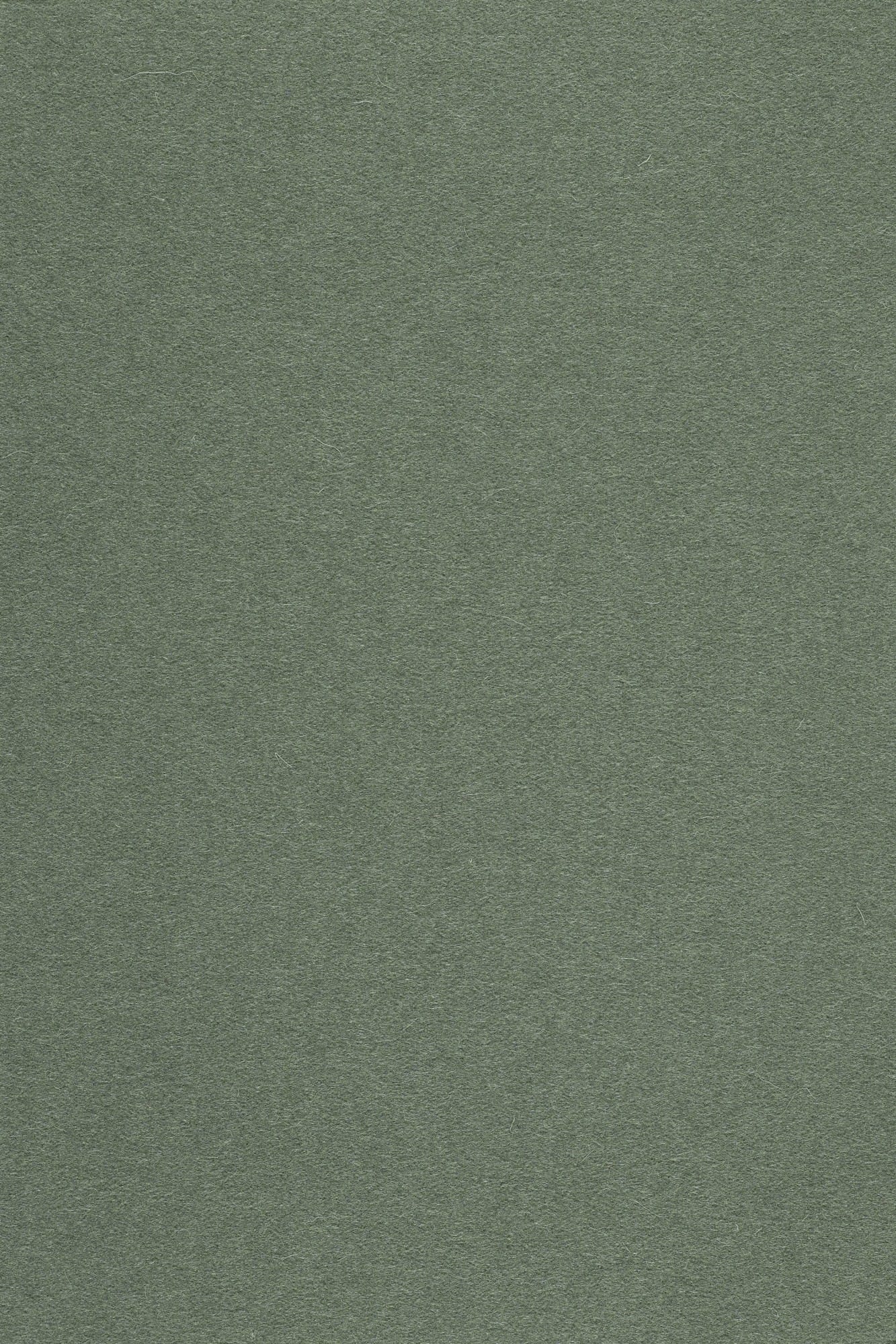 Fabric sample Divina 3 944 green