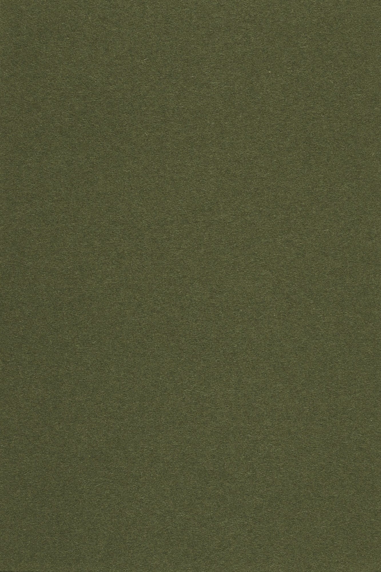 Fabric sample Divina 3 984 green